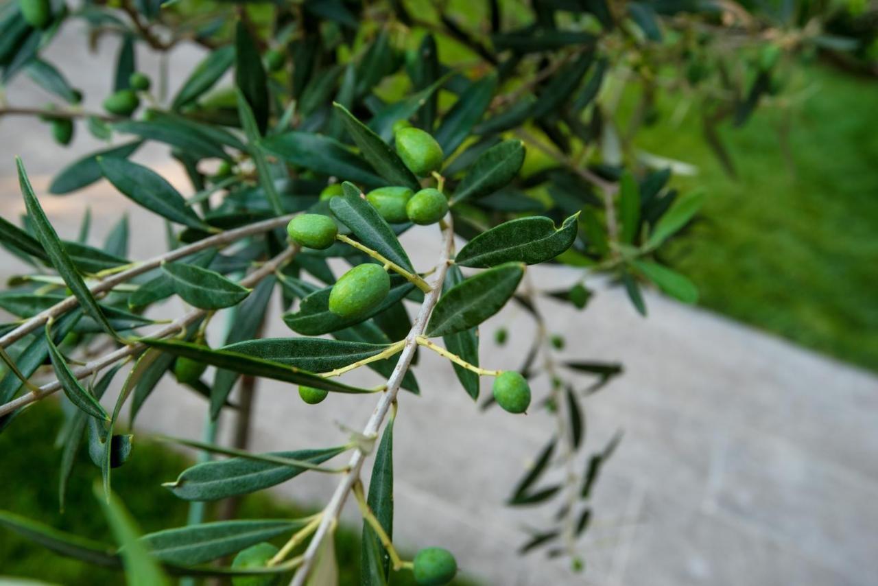 شقة Olive 303 Peraía المظهر الخارجي الصورة